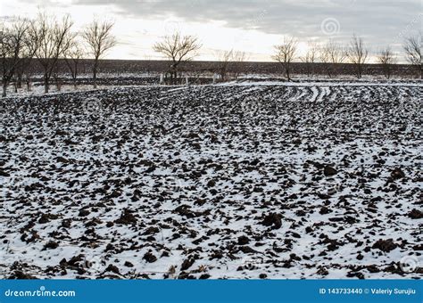 Naked Field In Winter Season Stock Photo Image Of Empty Dead 143733440