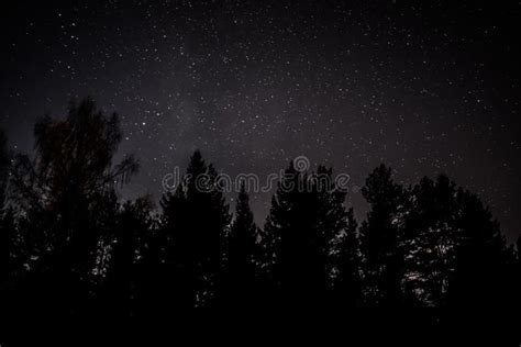 Nightsky in Norway stock photo. Image of stars, front - 123010538