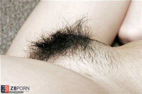 Killi Amciklar ZB Porn