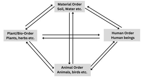 Interconnectedness And Mutual Fulfillment Among The Four Orders Of