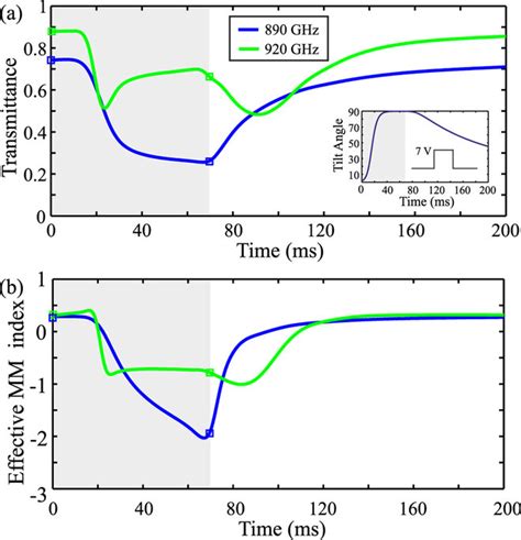 Transient Study Of The Voltage Tunable Metamaterial Electromagnetic