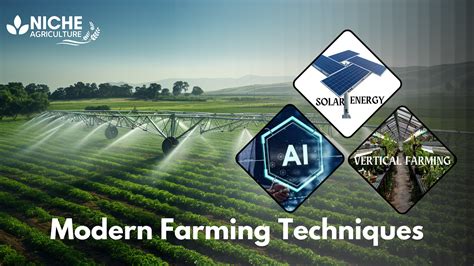 Modern Farming Techniques: Benefits and Advantages | by Niche ...