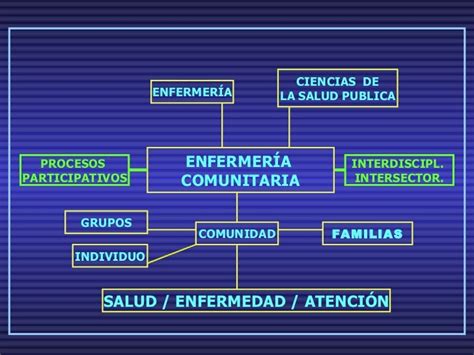 Enfermeria Comunitaria Funciones E Intervenciones