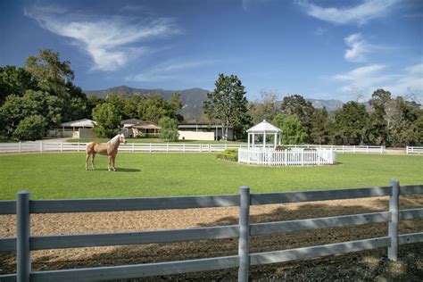 Oprah Winfrey Buys 29m Equestrian Farm Cnn