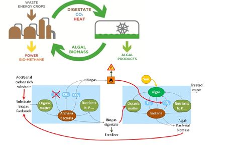 How Can Algaes Be Used For Biogas Production Researchgate