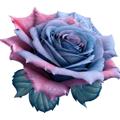 Hyperdetailed Realistic Blue and Pink Rose Bouquet · Creative Fabrica