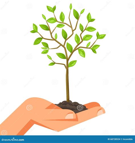 Illustration Of Human Hand Holding Green Small Tree Image For Booklets