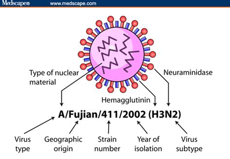 Pandemic Influenza