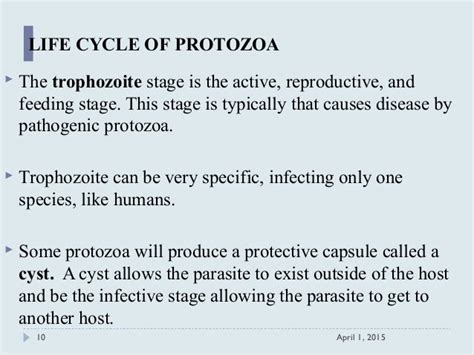 Parasaitology Presentation