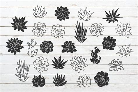 Succulent Svg Bundle Cactus Svg Cactus Clipart Cacti Svg Plant Svg