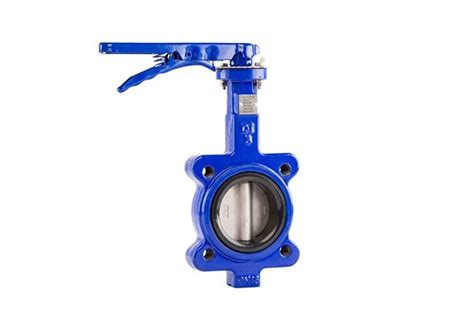 A Complete Guide To Butterfly Valve Dombor