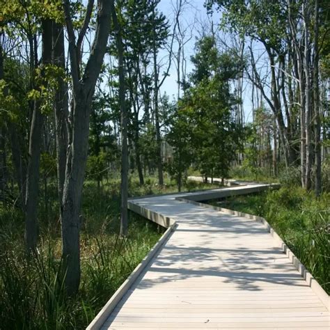 24 Stunning Walkway Ideas to Transform Your Backyard
