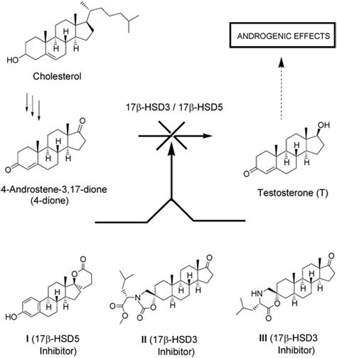 Molecules | Special Issue : Spiro Compounds