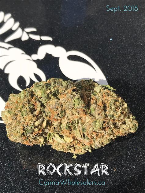 Rockstar Canna Wholeaalers Sept 18 R Mompics