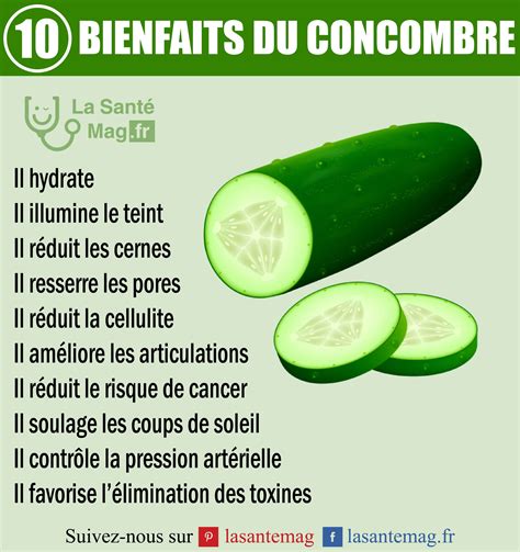 Les Bienfaits Du Concombre Sant Nutrition Sant Et Aliments Bons