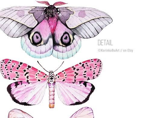 Butterfly Wall Art. Watercolor Butterfly Poster Watercolor - Etsy