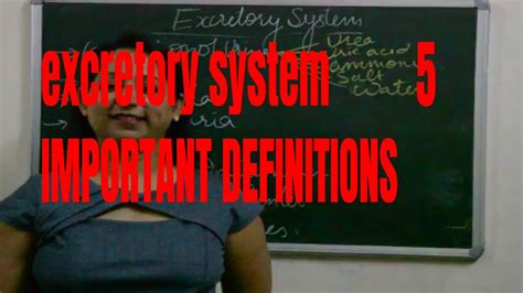 Dialysisurine Compositiondiuresis Explained In Detail Biology Icse