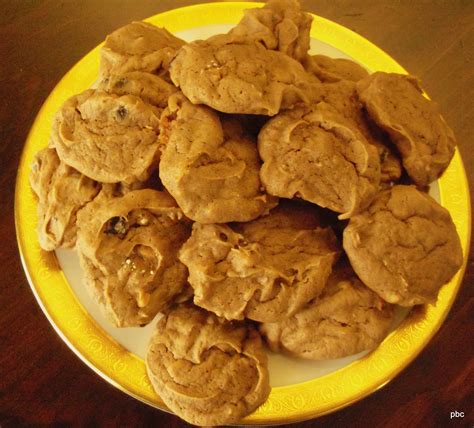 Ginger Cookies, Quick and Easy | Plum Bird Corner