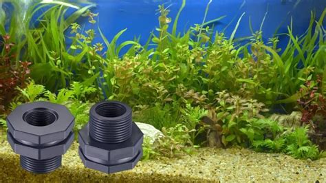 4 Essential Things You Need To Know About Bulkhead Fittings For Plastic Tanks Aquaponics Advisor