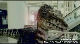 t rex | GIF | PrimoGIF