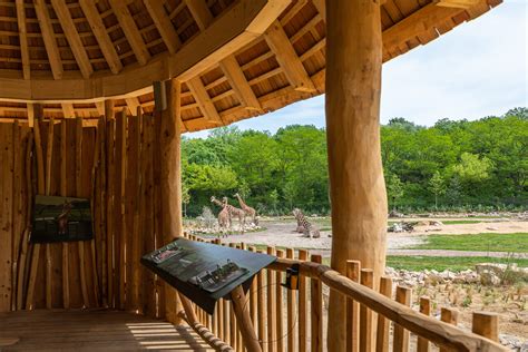 Savanne Tierpark Berlin