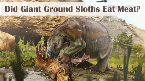 Did Giant Ground Sloths Eat Meat YouTube