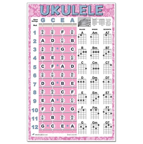 Beginner Ukulele Chords And Notes Poster Pink For Soprano Reverb