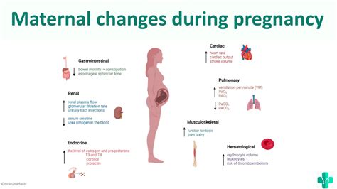 MATERNAL CHANGES IN PREGNANCY MBBS First Year Physiology YouTube