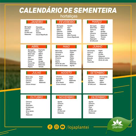 Calendário Para Plantar Verduras E Legumes - Para te ajudar com seu plantio, disponibilizamos esse calendário de ...