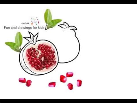 Como Desenhar Uma Fruta Rom Easy Cute Things To Draw How To Draw