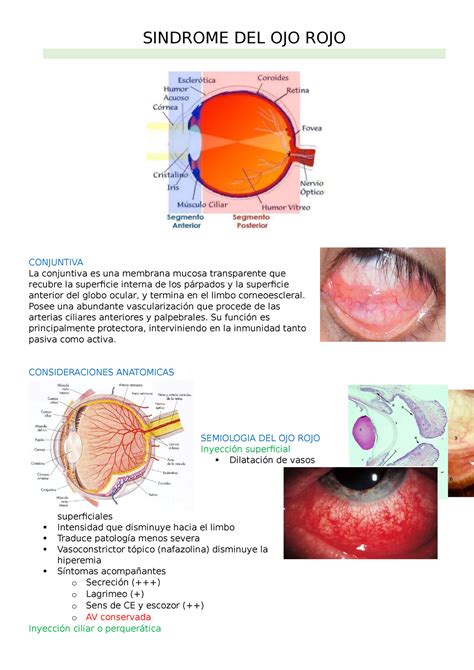 2 Parcial APROVEITE SINDROME DEL OJO ROJO CONJUNTIVA La Conjuntiva