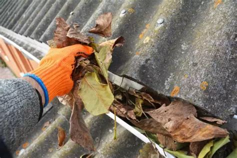 Gutter Cleaning Melbourne VIC 8 Yrs Exp Competitive Rates