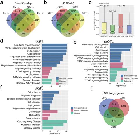 Colocalizing Qtls Identify Genes That Mediate Key Roles In Smc Download Scientific Diagram