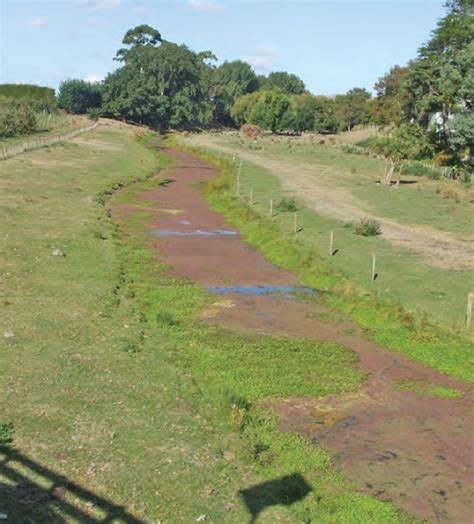 Nz Farm Forestry Planting In Riparian Zones