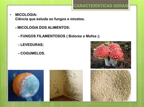 Como O Fungo Se Alimenta - Microbiologia: Fungos na Produção de Alimentos | PPTX
