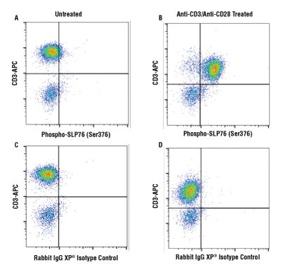 Antibody Validation for Flow Cytometry | Cell Signaling Technology