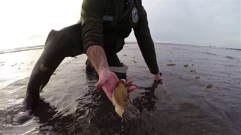 Digging Razor Clams In Washington Youtube