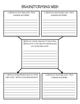 Writing Graphic Organizer for Five Paragraph Essay | TpT