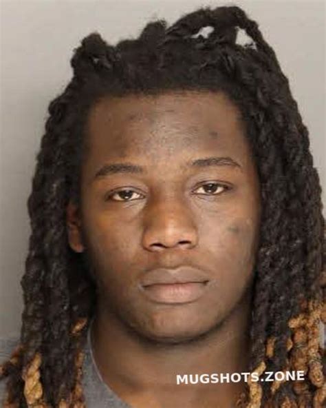 JENKINS TYRESE LARON 02 08 2024 Berkeley County Mugshots Zone