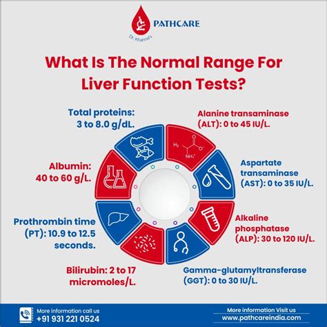 What Is Liver Function Test Reasons To Get Lft Test Done