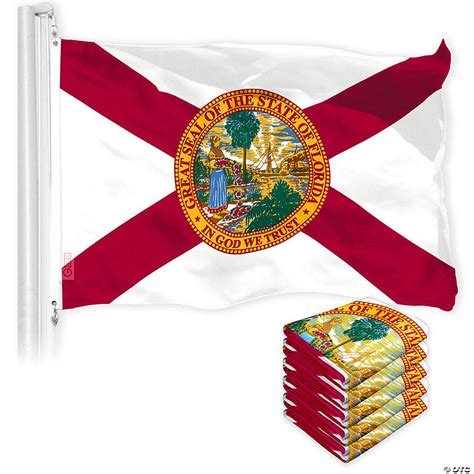 G128 Florida Fl State Flag 3x5ft 5 Pack 150d Printed Polyester