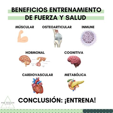 Beneficios Del Entrenamiento De Fuerza Para La Salud