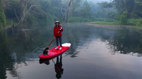 550 Pedalo Lake Stock Videos, Footage, & 4K Video Clips - Getty Images