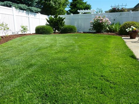 Summer Lawn Care Tips for Portland, OR