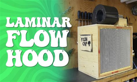 Home Made Laminar Flow Hood A Comprehensive DIY Guide Where S Shrooms