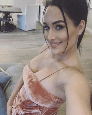 Pregnant Bella Twins Porn Pictures XXX Photos Sex Images PICTOA