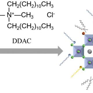 Scheme 1 Schematic Diagram Of The Synthesis Of Mn 2 Ion Doped CsPbCl 3