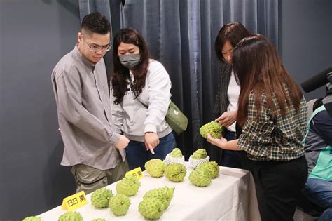 臺東縣府帶領果農重返外銷市場 饒慶鈴：不只賣出去 還要賣到好價錢 蕃新聞