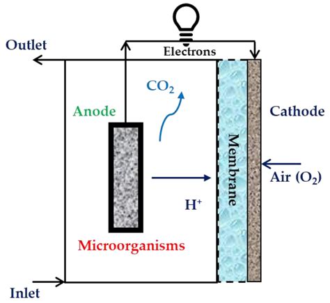 Membranes Free Full Text Microbial Fuel Cell Construction Features And Application For