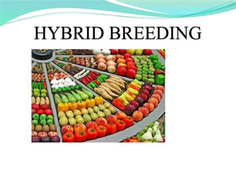 Hybridization